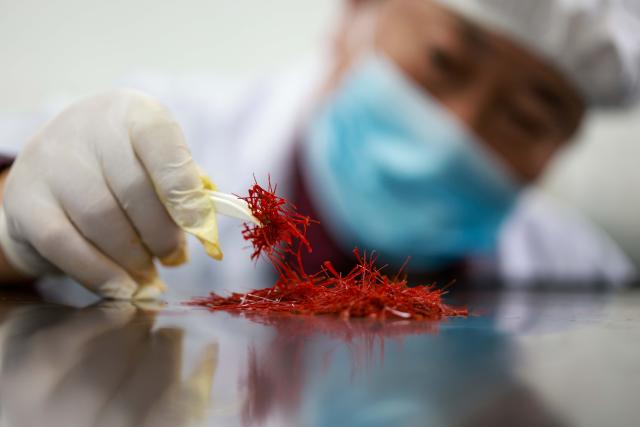 (251107) -- BEIJING, Nov. 7, 2025 (Xinhua) -- A villager heats saffron crocus, a high-value herbal medicine, in Maopo Village, Tongren City of southwest China's Guizhou Province, Nov, 6, 2025. (Photo by Hu Panxue/Xinhua)