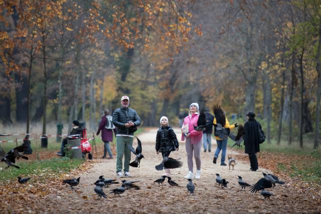 (251109) -- BERLIN, Nov. 9, 2025 (Xinhua) -- People enjoy themselves at the Charlottenburg Palace Garden in Berlin, Germany, Nov. 8, 2025. (Xinhua/Zhang Haofu)