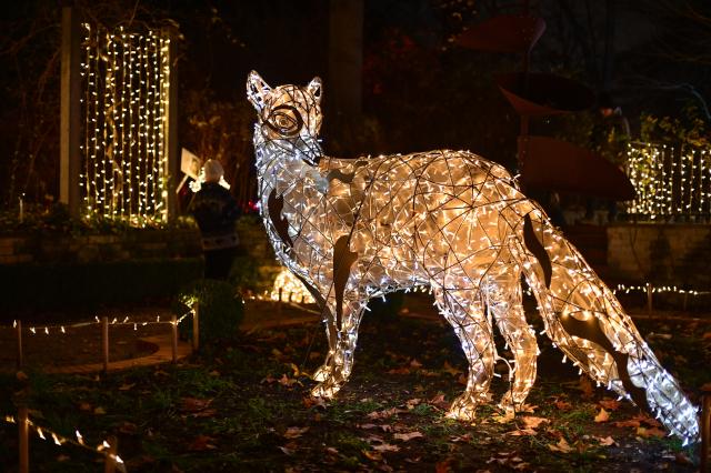 (251109) -- WARSAW, Nov. 9, 2025 (Xinhua) -- A light installation is seen at the "Magical Botanical Garden" light show at the University of Warsaw Botanical Garden in Warsaw, Poland on Nov. 8, 2025.
  The show opened here Saturday night and will run through mid-February 2026. (Photo by Aleksy Witwicki/Xinhua)