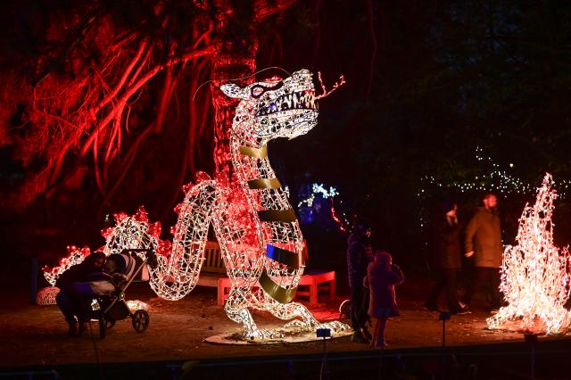 (251109) -- WARSAW, Nov. 9, 2025 (Xinhua) -- People visit the "Magical Botanical Garden" light show at the University of Warsaw Botanical Garden in Warsaw, Poland on Nov. 8, 2025.
  The show opened here Saturday night and will run through mid-February 2026. (Photo by Aleksy Witwicki/Xinhua)