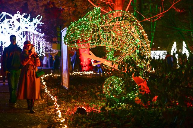 (251109) -- WARSAW, Nov. 9, 2025 (Xinhua) -- People visit the "Magical Botanical Garden" light show at the University of Warsaw Botanical Garden in Warsaw, Poland on Nov. 8, 2025.
  The show opened here Saturday night and will run through mid-February 2026. (Photo by Aleksy Witwicki/Xinhua)