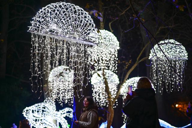 (251109) -- WARSAW, Nov. 9, 2025 (Xinhua) -- People visit the "Magical Botanical Garden" light show at the University of Warsaw Botanical Garden in Warsaw, Poland on Nov. 8, 2025.
  The show opened here Saturday night and will run through mid-February 2026. (Photo by Aleksy Witwicki/Xinhua)