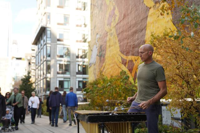 (251109) -- NEW YORK, Nov. 9, 2025 (Xinhua) -- An artist performs at the High Line park in New York, the United States, on Nov. 8, 2025.
  The High Line park is a public park built on an unused elevated railway in New York city. (Xinhua/Zhang Fengguo)