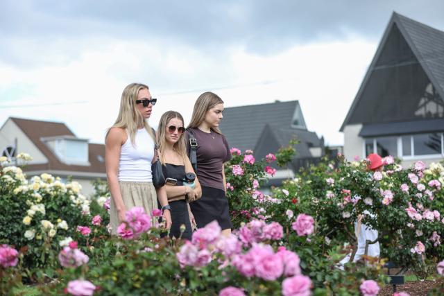 (251109) -- AUCKLAND, Nov. 9, 2025 (Xinhua) -- People visit the Parnell Rose Garden in Auckland, New Zealand, Nov. 9, 2025. (Xinhua/Long Lei)