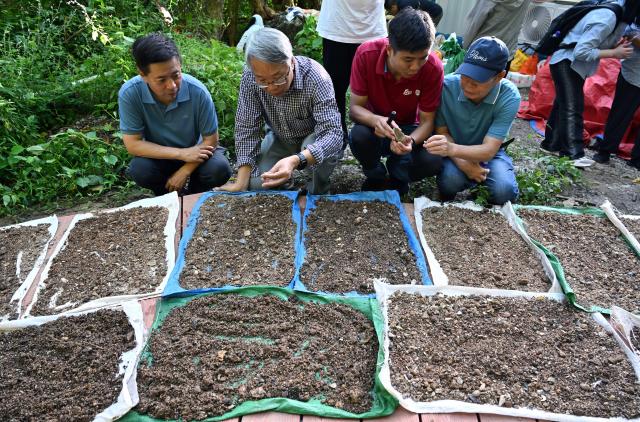 (251110) -- SANYA, Nov. 10, 2025 (Xinhua) -- Archaeologists sort soil samples collected from the Luobi Cave relic site in Sanya, south China's Hainan Province, Nov. 8, 2025. A prehistoric tomb dating back between 12,000 and 13,000 years was discovered in south China's Hainan Province, which is believed to be the earliest tomb found on the island.
   The tomb, discovered at the Luobi Cave relic site in Sanya's Jiyang District, belonged to a child who was buried on his or her side with bent limbs. Shell ornaments were found near the head and waist, believed to be the earliest of their kind in China, offering valuable insights into Hainan's prehistoric culture and its cultural exchanges with Southeast Asia. (Xinhua/Guo Cheng)