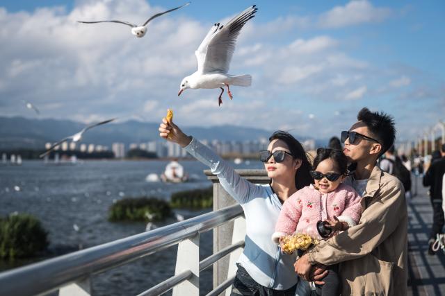 (251110) -- KUNMING, Nov. 10, 2025 (Xinhua) -- Tourists feed black-headed gulls at the Haigeng Dam in Kunming, southwest China's Yunnan Province, Nov. 10, 2025. Black-headed gulls migrate to Kunming for the warm weather there in winter. (Xinhua/Wang Guansen)