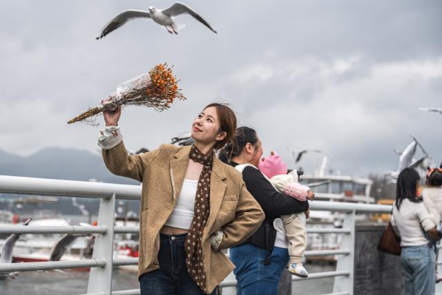 (251110) -- KUNMING, Nov. 10, 2025 (Xinhua) -- A tourist poses for photos with black-headed gulls at the Haigeng Dam in Kunming, southwest China's Yunnan Province, Nov. 10, 2025. Black-headed gulls migrate to Kunming for the warm weather there in winter. (Xinhua/Wang Guansen)