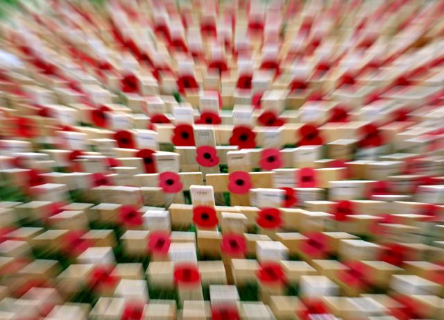 (251110) -- LONDON, Nov. 10, 2025 (Xinhua) -- Poppy petals and crosses are seen at the Field of Remembrance on the occasion of Remembrance Day at Westminster Abbey in London, Britain, Nov. 10, 2025. Remembrance Day is observed to remember the sacrifices made by soldiers during the WWI, which ended on Nov. 11, 1918. (Xinhua/Li Ying)