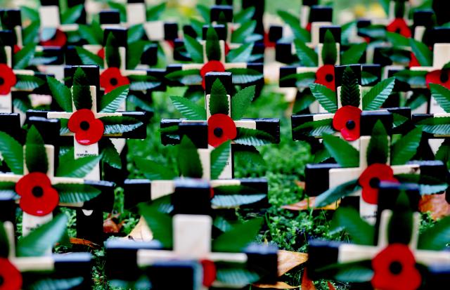 (251110) -- LONDON, Nov. 10, 2025 (Xinhua) -- Poppy petals and crosses are seen at the Field of Remembrance on the occasion of Remembrance Day at Westminster Abbey in London, Britain, Nov. 10, 2025. Remembrance Day is observed to remember the sacrifices made by soldiers during the WWI, which ended on Nov. 11, 1918. (Xinhua/Li Ying)