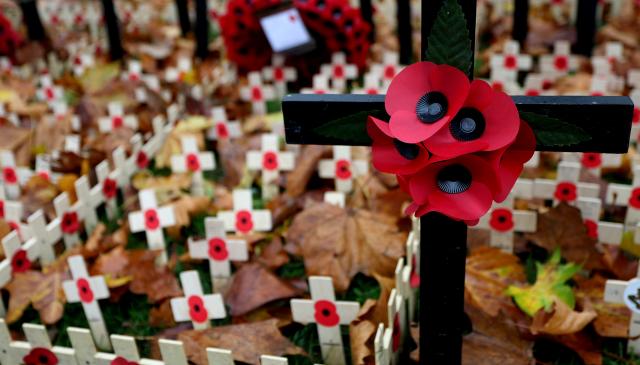 (251110) -- LONDON, Nov. 10, 2025 (Xinhua) -- Poppy petals and crosses are seen at the Field of Remembrance on the occasion of Remembrance Day at Westminster Abbey in London, Britain, Nov. 10, 2025. Remembrance Day is observed to remember the sacrifices made by soldiers during the WWI, which ended on Nov. 11, 1918. (Xinhua/Li Ying)