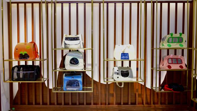 (251111) -- ANSHAN, Nov. 11, 2025 (Xinhua) -- Pet carrier products are pictured in Nantai Township of Haicheng City in Anshan, northeast China's Liaoning Province, Oct. 21, 2025. In recent years, Anshan, a traditional industrial city, has gained new vitality with the development of a distinctive pet industry cluster that spans pet carrier manufacturing, food processing, and grooming services. (Xinhua/Wu Qinghao)