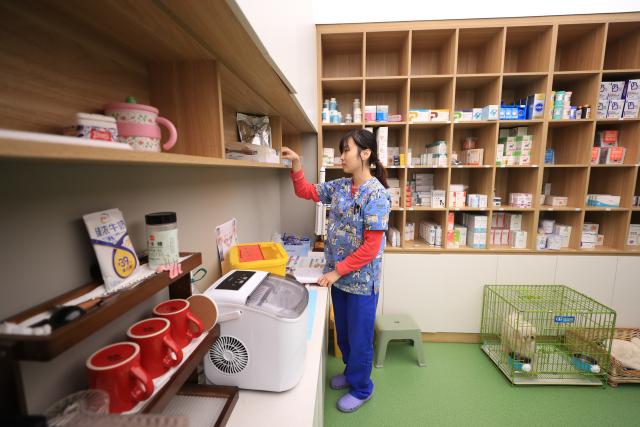 (251111) -- ANSHAN, Nov. 11, 2025 (Xinhua) -- A staff member arranges medicine at a pet hospital in Tiexi District of Anshan, northeast China's Liaoning Province, Nov. 7, 2025. In recent years, Anshan, a traditional industrial city, has gained new vitality with the development of a distinctive pet industry cluster that spans pet carrier manufacturing, food processing, and grooming services. (Xinhua/Yang Qing)