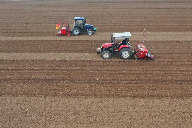(251111) -- BEIJING, Nov. 11, 2025 (Xinhua) -- An aerial drone photo taken on Nov. 11, 2025 shows farmers operating agricultural machines to sow wheat in a field in Wenxian County of Jiaozuo City, central China's Henan Province. As of Nov. 10, nearly 70 percent of the winter wheat has been sowed across the country. (Photo by Xu Hongxing/Xinhua)