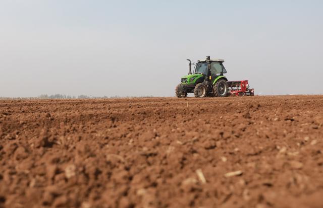 (251111) -- BEIJING, Nov. 11, 2025 (Xinhua) -- A farmer operates an agricultural machine to sow wheat in a field in Wenxian County of Jiaozuo City, central China's Henan Province, Nov. 11, 2025. As of Nov. 10, nearly 70 percent of the winter wheat has been sowed across the country. (Photo by Huang Fuxing/Xinhua)