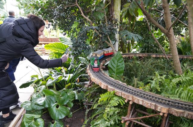 (251111) -- NEW YORK, Nov. 11, 2025 (Xinhua) -- A visitor takes photos of a model train during a preview of the Holiday Train Show at New York Botanical Garden in New York, the United States, on Nov. 11, 2025. A preview for the Holiday Train Show, which is open to the public from Nov. 15, 2025 to Jan. 11, 2026, was held at the New York Botanical Garden on Tuesday, showcasing large-scale model trains running in a miniature New York City where nearly 200 scaled iconic buildings and structures are recreated using bark, leaves and other natural materials. (Xinhua/Zhang Fengguo)