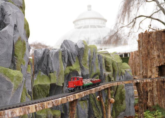 (251111) -- NEW YORK, Nov. 11, 2025 (Xinhua) -- A model train is seen during a preview of the Holiday Train Show at New York Botanical Garden in New York, the United States, on Nov. 11, 2025. A preview for the Holiday Train Show, which is open to the public from Nov. 15, 2025 to Jan. 11, 2026, was held at the New York Botanical Garden on Tuesday, showcasing large-scale model trains running in a miniature New York City where nearly 200 scaled iconic buildings and structures are recreated using bark, leaves and other natural materials. (Xinhua/Zhang Fengguo)