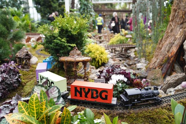 (251111) -- NEW YORK, Nov. 11, 2025 (Xinhua) -- Visitors watch a model train running in a model of the Central Park during a preview of the Holiday Train Show at New York Botanical Garden in New York, the United States, on Nov. 11, 2025. A preview for the Holiday Train Show, which is open to the public from Nov. 15, 2025 to Jan. 11, 2026, was held at the New York Botanical Garden on Tuesday, showcasing large-scale model trains running in a miniature New York City where nearly 200 scaled iconic buildings and structures are recreated using bark, leaves and other natural materials. (Xinhua/Zhang Fengguo)