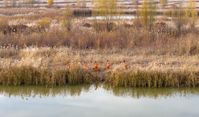(251113) -- BEIJING, Nov. 13, 2025 (Xinhua) -- An aerial drone photo taken on Nov. 11, 2025 shows staff members patrolling at the Tianhewan National Wetland Park in Pingluo County of Shizuishan, northwest China's Ningxia Hui Autonomous Region.
  Located in Pingluo County of Ningxia and adjacent to the Yellow River, the Tianhewan National Wetland Park serves as an important ecological barrier in the Yellow River Basin. 
Thanks to continuous improvement in its ecological environment, the park has turned into a paradise for migratory birds. (Xinhua/Yang Zhisen)