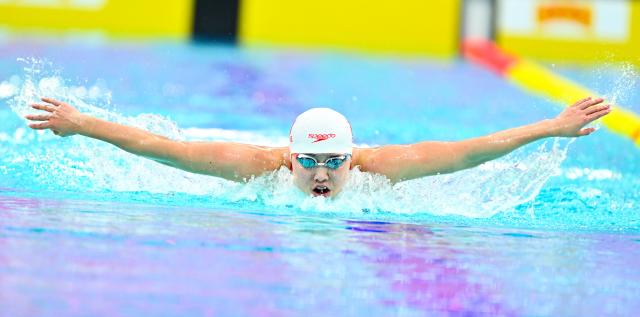 (251113) -- SHENZHEN, Nov. 13, 2025 (Xinhua) -- Chen Luying of Fujian competes during the women's 200m butterfly preliminary of swimming at China's 15th National Games in Shenzhen, south China's Guangdong Province, Nov. 13, 2025. (Xinhua/Chen Yichen)