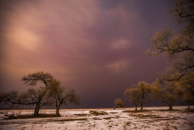 (251113) -- HARBIN, Nov. 13, 2025 (Xinhua) -- This photo taken on Nov. 12, 2025 shows the aurora seen beneath the clouds in Jiayin County, northeast China's Heilongjiang Province. (Photo by Li Shaojun/Xinhua)