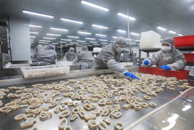 (251113) -- JINAN, Nov. 13, 2025 (Xinhua) -- Workers process squid products at a seafood processing factory in Rongcheng City, east China's Shandong Province, Nov. 10, 2025. As a province noted for its major marine fishery economy, Shandong has been actively building marine farms in recent years, aiming to continuously enrich the "blue food depot."
   To date, Shandong has built 139 "marine farms" at or above the provincial level, including 71 at the national level, or 38 percent of the country's total at the level. The province now boasts an integrated industrial chain for marine fishery that ranges from aquaculture, fishing to intensive processing.
   The output of marine aquatic products in Shandong reached 8.25 million tonnes with an added value exceeding 100 billion yuan (about 14.09 billion U.S. dollars) in 2024, topping among all regions at the provincial level in the country. (Photo by Wang Fudong/Xinhua)