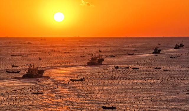 (251113) -- JINAN, Nov. 13, 2025 (Xinhua) -- An aerial drone photo taken on Nov. 10, 2025 shows fishing boats setting off in the waters of Ailunwan in Rongcheng City, east China's Shandong Province. As a province noted for its major marine fishery economy, Shandong has been actively building marine farms in recent years, aiming to continuously enrich the "blue food depot."
   To date, Shandong has built 139 "marine farms" at or above the provincial level, including 71 at the national level, or 38 percent of the country's total at the level. The province now boasts an integrated industrial chain for marine fishery that ranges from aquaculture, fishing to intensive processing.
   The output of marine aquatic products in Shandong reached 8.25 million tonnes with an added value exceeding 100 billion yuan (about 14.09 billion U.S. dollars) in 2024, topping among all regions at the provincial level in the country. (Photo by Li Xinjun/Xinhua)