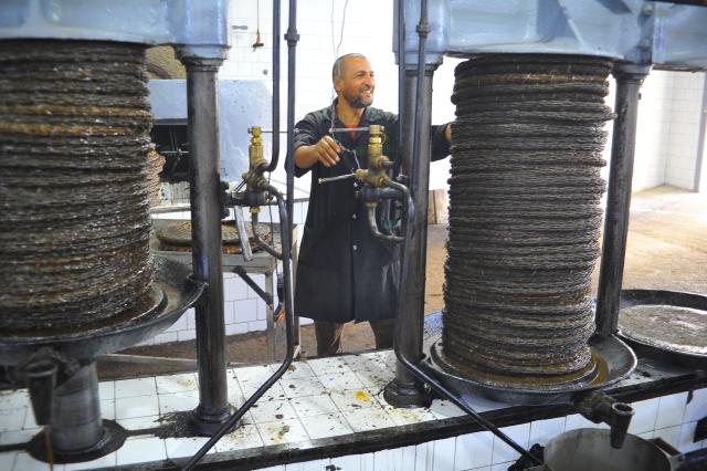 (251114) -- TEBOURBA, Nov. 14, 2025 (Xinhua) -- A worker produces olive oil with traditional methods at an olive oil workshop in Tebourba, Tunisia, Nov. 13, 2025.
  Tunisia is one of the world's major producers and exporters of olive oil. (Photo by Adel Ezzine/Xinhua)
