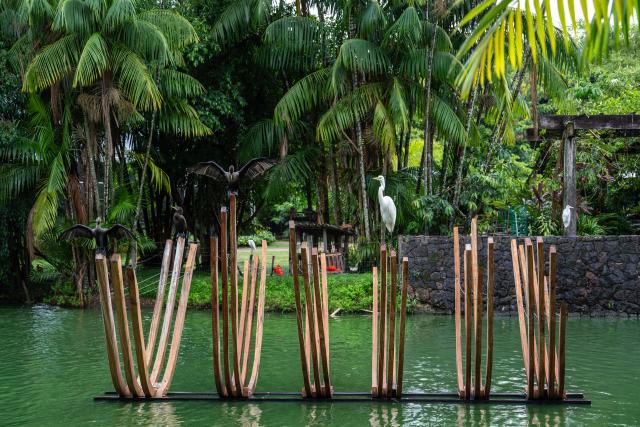 (251114) -- BELEM, Nov. 14, 2025 (Xinhua) -- Birds perch on wooden installations in a lake at an ecological park in Belem, Brazil, Nov. 13, 2025.
  The 30th United Nations climate change conference (COP30) opened here on Monday and will last until Nov. 21. (Xinhua/Wang Tiancong)