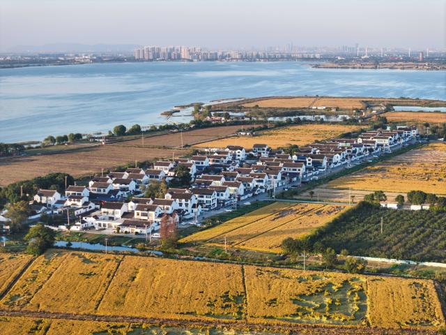(251114) -- SUZHOU, Nov. 14, 2025 (Xinhua) -- This aerial drone photo taken on Nov. 13, 2025 shows the view of a peninsula in Yangcheng Lake in Suzhou, east China's Jiangsu Province. (Xinhua/Ji Chunpeng)