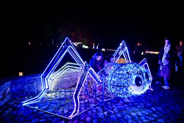 (251114) -- RIXENSART, Nov. 14, 2025 (Xinhua) -- People visit the "Garden of Lights -- The Smurfs" light show at the Chateau de Rixensart, Rixensart, Walloon Brabant, Belgium, on Nov. 13, 2025. This immersive light show premiered here on Thursday night. Illuminated installations and music transformed the gardens into a magical nighttime experience, inviting visitors to explore the enchanting world of the Smurfs. (Xinhua/Lyu You)