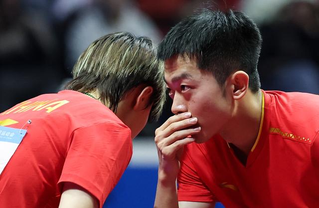 (251114) -- MACAO, Nov. 14, 2025 (Xinhua) -- Wang Yidi/Yuan Licen (R) talk to each other during the mixed doubles bronze medal match of table tennis between Chen Xingtong/Xu Haidong of Liaoning and Wang Yidi/Yuan Licen of Liaoning at China's 15th National Games in Macao, south China, Nov. 14, 2025. (Xinhua/Sun Fanyue)