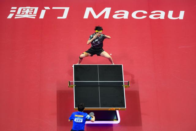 (251115) -- MACAO, Nov. 15, 2025 (Xinhua) -- Wang Chuqin (top) hits a return during the men's singles semifinal match of table tennis between Fan Zhendong of Shanghai and Wang Chuqin of Beijing at China's 15th National Games in Macao, south China, Nov. 15, 2025. (Xinhua/Cheong Kam Ka)