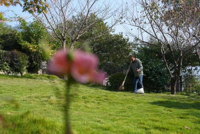 (251115) -- NINGBO, Nov. 15, 2025 (Xinhua) -- A villager cleans a homestay's courtyard in Dongshan Village of Xikou Town in Ningbo City, east China's Zhejiang Province, Nov. 14, 2025.
  With its prime geographical location, rich resources and improved infrastructure, Dongshan Village has in recent years witnessed rapid development in tourism through rural collective management program.
   Young people involved in the program have rooted themselves here to run homestays and cafes, using their professional expertise to activate rural resources and truly benefit the villagers. (Xinhua/Huang Zongzhi)