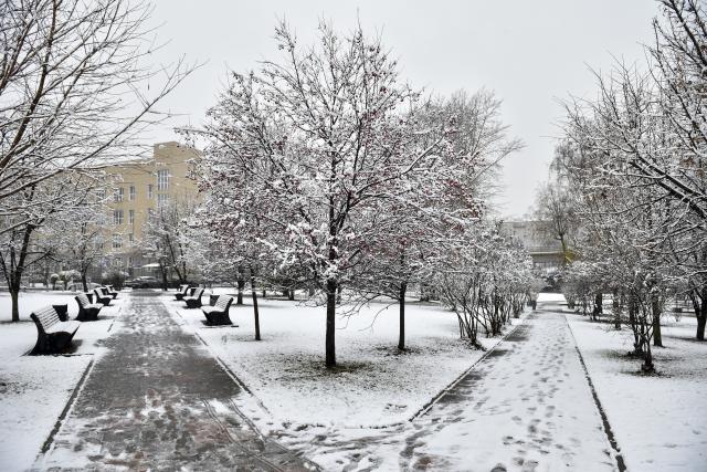 (251115) -- MOSCOW, Nov. 15, 2025 (Xinhua) -- This photo taken on Nov. 15, 2025 shows the scenery of snow in Moscow, Russia. Moscow on Friday saw its first snowfall since the beginning of winter this year. (Photo by Alexander Zemlianichenko Jr/Xinhua)