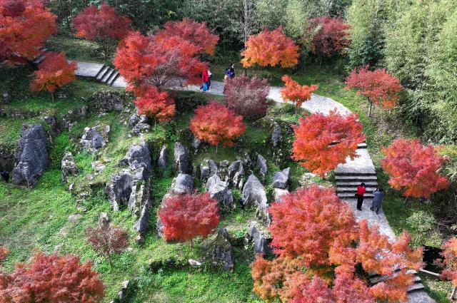 (251116) -- BEIJING, Nov. 16, 2025 (Xinhua) -- An aerial drone photo taken on Nov. 16, 2025 shows tourists enjoying sightseeing at a geopark in Xuan'en County, central China's Hubei Province. (Photo by Song Wen/Xinhua)