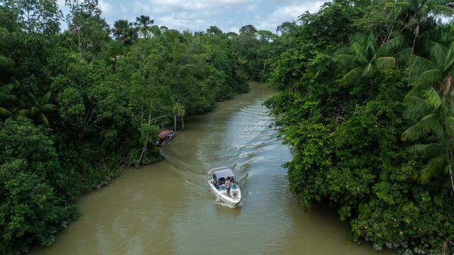 (251117) -- BELEM, Nov. 17, 2025 (Xinhua) -- An aerial drone photo taken on Nov. 16, 2025 shows tropical rainforest and waterways in Belem, Brazil. (Xinhua/Wang Tiancong)