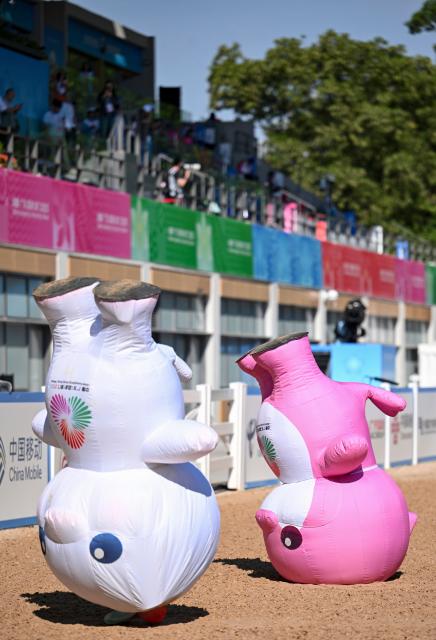 (251117) -- SHENZHEN, Nov. 17, 2025 (Xinhua) -- Mascots are seen before the jumping team final of equestrian at China's 15th National Games in Shenzhen, south China's Guangdong Province, Nov. 17, 2025. (Xinhua/Feng Kaihua)