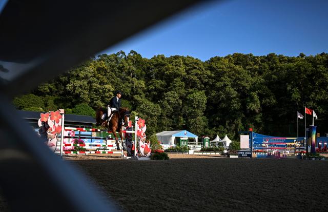 (251117) -- SHENZHEN, Nov. 17, 2025 (Xinhua) -- Zheng Wenjie of Shanghai competes during the jumping team final of equestrian at China's 15th National Games in Shenzhen, south China's Guangdong Province, Nov. 17, 2025. (Xinhua/Feng Kaihua)