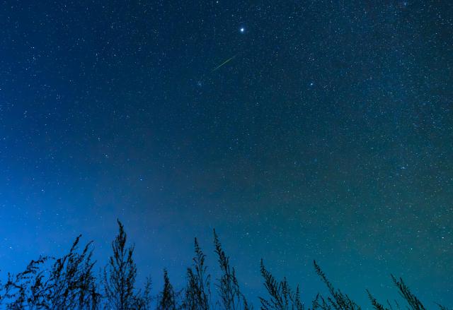 (251118) -- HARBIN, Nov. 18, 2025 (Xinhua) -- This photo taken on Nov. 18, 2025 shows the Leonid meteor shower seen in Heihe City, northeast China's Heilongjiang Province. (Photo by Qian Boyu/Xinhua)