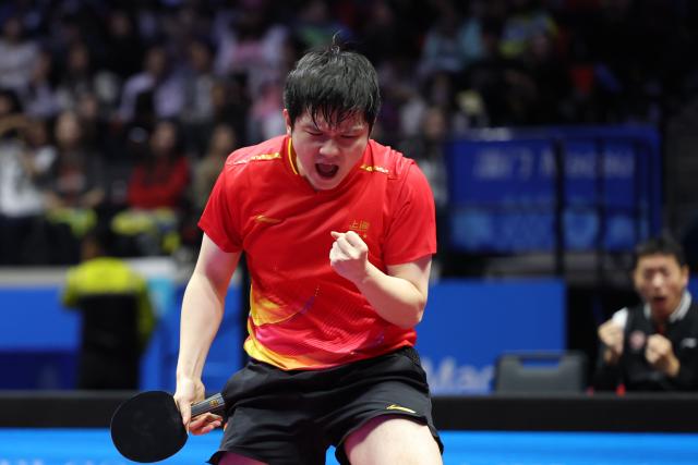 (251118) -- MACAO, Nov. 18, 2025 (Xinhua) -- Fan Zhendong of Shanghai celebrates scoring in the match against Liang Jingkun of Hebei during the men's team quarterfinal match of table tennis between Shanghai and Hebei at China's 15th National Games in Macao, south China, Nov. 18, 2025. (Xinhua/Liang Xu)