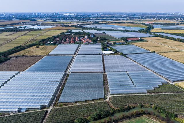 (251118) -- JIAXING, Nov. 18, 2025 (Xinhua) -- An aerial drone photo taken on Nov. 18, 2025 shows a smart orchard demonstration park operated by an agricultural development company in Nanhu District, Jiaxing City, east China's Zhejiang Province. In Zhejiang, the birthplace of the landmark Green Rural Revival Program, rural transformation over the past 22 years has evolved from merely improving living conditions to delivering common prosperity while building beautiful villages. Jiaxing City in Zhejiang has been consistently implementing the program to promote rural revitalization. (Xinhua/Xu Yu)