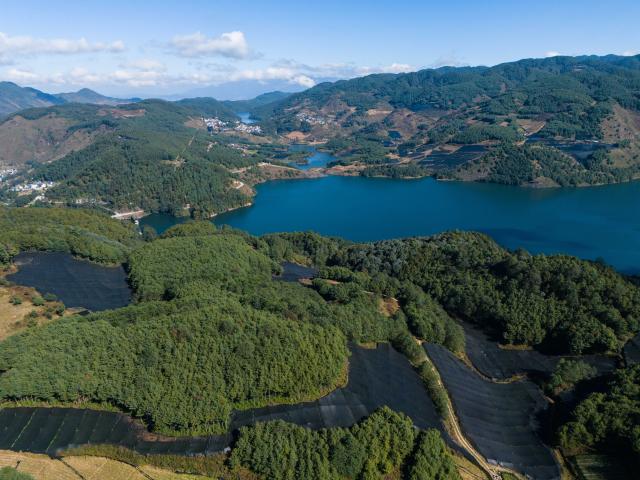 (251118) -- BAOSHAN, Nov. 18, 2025 (Xinhua) -- An aerial drone photo taken on Nov. 17, 2025 shows a wasabi planting base in Longyang District, Baoshan City, southwest China's Yunnan Province. Baoshan City offers a sound environment for wasabi, a perennial herb prized for its pungent root used in the famous condiment and is notoriously difficult to cultivate. 
   In recent years, local government has been promoting standardized and large-scale planting of wasabi, creating new opportunities for mountainous areas and helping farmers increase their income.
   At present, Baoshan City has become the largest wasabi planting area in China, and wasabi grown here has been exported to foreign countries. (Xinhua/Gao Yongwei)