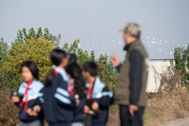 (251120) -- CHIZHOU, Nov. 20, 2025 (Xinhua) -- A flock of egrets flies behind as students of Maotan Primary School observe birds under the guidance of a wild bird conservation volunteer at the Shibasuo provincial nature reserve in Chizhou City, east China's Anhui Province, Nov. 18, 2025.
  Maotan Primary School is adjacent to the Shibasuo provincial nature reserve. The reserve boasts abundant wildlife resources and protects mainly wintering waterfowl such as storks and geese, as well as the wetland ecosystem. It serves as a unique "nature classroom" for the school, especially in wetland conservation education.
  For years, the school has integrated wetland protection education into its daily teaching. Volunteers are invited to the school for wetland science popularization, and students are frequently organized for study tours in the wetlands. This teaching approach has deepened the children's understanding of wetland conservation. (Xinhua/Zhang Duan)