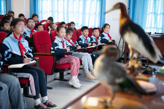 (251120) -- CHIZHOU, Nov. 20, 2025 (Xinhua) -- Students attend a lecture on birds at Maotan Primary School in Guichi District of Chizhou City, east China's Anhui Province, Nov. 18, 2025.
  Maotan Primary School is adjacent to the Shibasuo provincial nature reserve. The reserve boasts abundant wildlife resources and protects mainly wintering waterfowl such as storks and geese, as well as the wetland ecosystem. It serves as a unique "nature classroom" for the school, especially in wetland conservation education.
  For years, the school has integrated wetland protection education into its daily teaching. Volunteers are invited to the school for wetland science popularization, and students are frequently organized for study tours in the wetlands. This teaching approach has deepened the children's understanding of wetland conservation. (Xinhua/Zhang Duan)