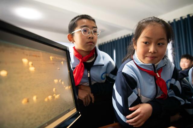 (251120) -- CHIZHOU, Nov. 20, 2025 (Xinhua) -- Students observe migratory birds via surveillance cameras at the administration of Shibasuo provincial nature reserve in Chizhou City, east China's Anhui Province, Nov. 18, 2025.
  Maotan Primary School is adjacent to the Shibasuo provincial nature reserve. The reserve boasts abundant wildlife resources and protects mainly wintering waterfowl such as storks and geese, as well as the wetland ecosystem. It serves as a unique "nature classroom" for the school, especially in wetland conservation education.
  For years, the school has integrated wetland protection education into its daily teaching. Volunteers are invited to the school for wetland science popularization, and students are frequently organized for study tours in the wetlands. This teaching approach has deepened the children's understanding of wetland conservation. (Xinhua/Zhang Duan)