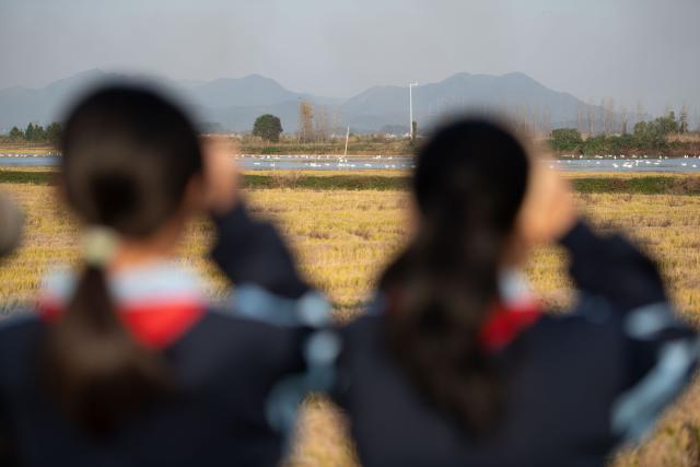 (251120) -- CHIZHOU, Nov. 20, 2025 (Xinhua) -- Students of Maotan Primary School observe cygnets via binoculars at the Shibasuo provincial nature reserve in Chizhou City, east China's Anhui Province, Nov. 18, 2025.
  Maotan Primary School is adjacent to the Shibasuo provincial nature reserve. The reserve boasts abundant wildlife resources and protects mainly wintering waterfowl such as storks and geese, as well as the wetland ecosystem. It serves as a unique "nature classroom" for the school, especially in wetland conservation education.
  For years, the school has integrated wetland protection education into its daily teaching. Volunteers are invited to the school for wetland science popularization, and students are frequently organized for study tours in the wetlands. This teaching approach has deepened the children's understanding of wetland conservation. (Xinhua/Zhang Duan)