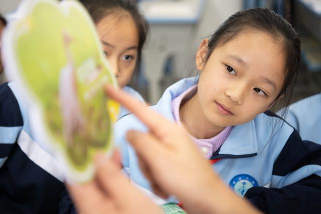 (251120) -- CHIZHOU, Nov. 20, 2025 (Xinhua) -- Students attend a class on birds at Maotan Primary School in Guichi District of Chizhou City, east China's Anhui Province, Nov. 18, 2025.
  Maotan Primary School is adjacent to the Shibasuo provincial nature reserve. The reserve boasts abundant wildlife resources and protects mainly wintering waterfowl such as storks and geese, as well as the wetland ecosystem. It serves as a unique "nature classroom" for the school, especially in wetland conservation education.
  For years, the school has integrated wetland protection education into its daily teaching. Volunteers are invited to the school for wetland science popularization, and students are frequently organized for study tours in the wetlands. This teaching approach has deepened the children's understanding of wetland conservation. (Xinhua/Zhang Duan)