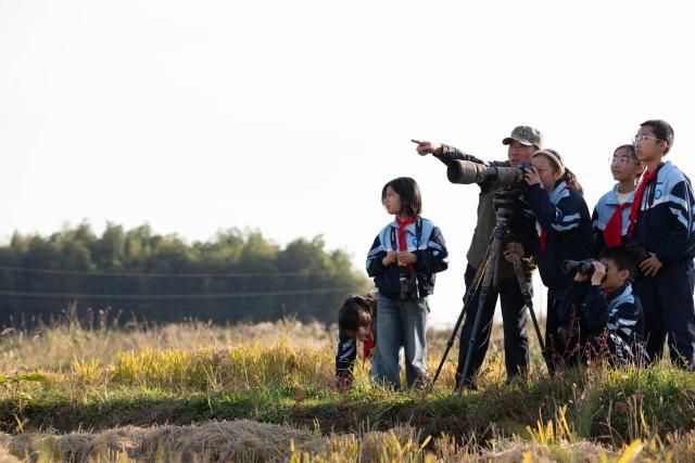 (251120) -- CHIZHOU, Nov. 20, 2025 (Xinhua) -- Students of Maotan Primary School record birds with a camera under the guidance of a wild bird conservation volunteer at the Shibasuo provincial nature reserve in Chizhou City, east China's Anhui Province, Nov. 18, 2025.
  Maotan Primary School is adjacent to the Shibasuo provincial nature reserve. The reserve boasts abundant wildlife resources and protects mainly wintering waterfowl such as storks and geese, as well as the wetland ecosystem. It serves as a unique "nature classroom" for the school, especially in wetland conservation education.
  For years, the school has integrated wetland protection education into its daily teaching. Volunteers are invited to the school for wetland science popularization, and students are frequently organized for study tours in the wetlands. This teaching approach has deepened the children's understanding of wetland conservation. (Xinhua/Zhang Duan)