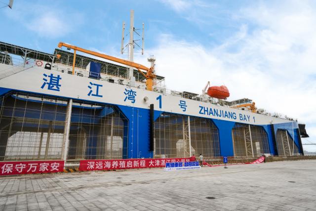 (251120) -- ZHANJIANG, Nov. 20, 2025 (Xinhua) -- The high-end marine vessel, Zhanjiang Bay No.1, is delivered in Zhanjiang City, south China's Guangdong Province, Nov. 19, 2025.
  TO GO WITH "Innovative aquaculture vessel hits waters in south China's Guangdong" (Zhanjiang Bay Laboratory/Handout via Xinhua)