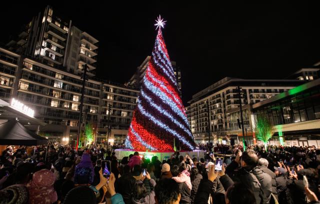 (251121) -- RICHMOND, Nov. 21, 2025 (Xinhua) -- People attend a Christmas tree lighting ceremony at Richmond Centre Plaza in Richmond, British Columbia, Canada, Nov. 20, 2025.
  The 78-foot-tall Christmas tree is illuminated during the ceremony here on Thursday, marking the start of the festive season. (Photo by Liang Sen/Xinhua)
